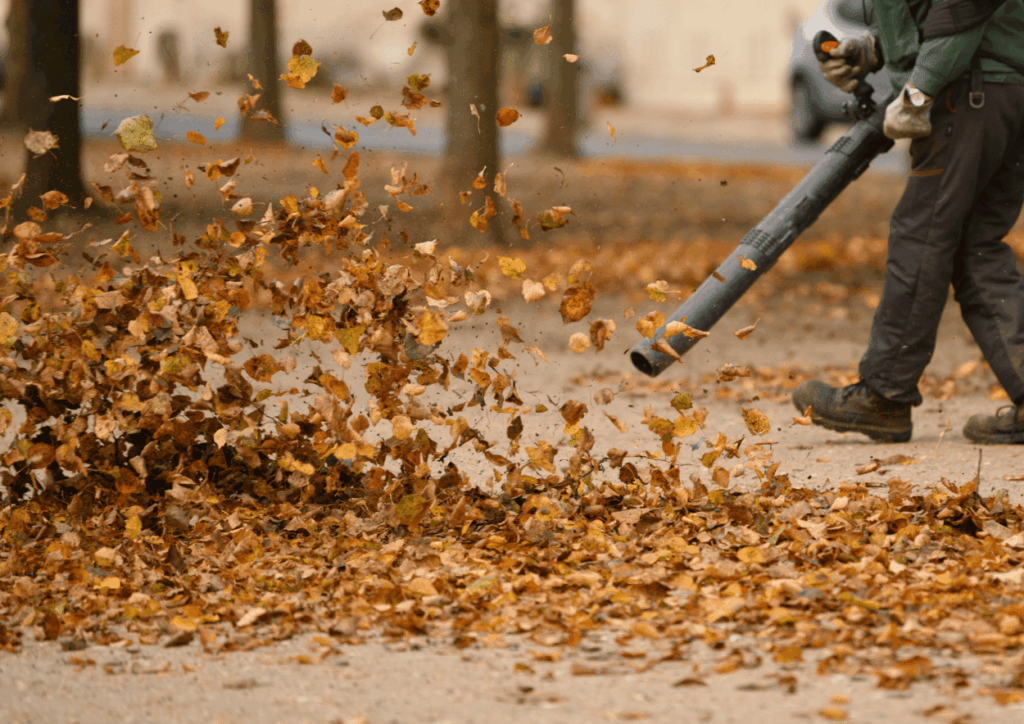 Fall clean up