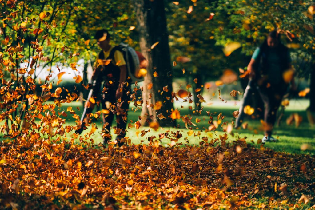 Spring Cleanup Services in Boston, MA