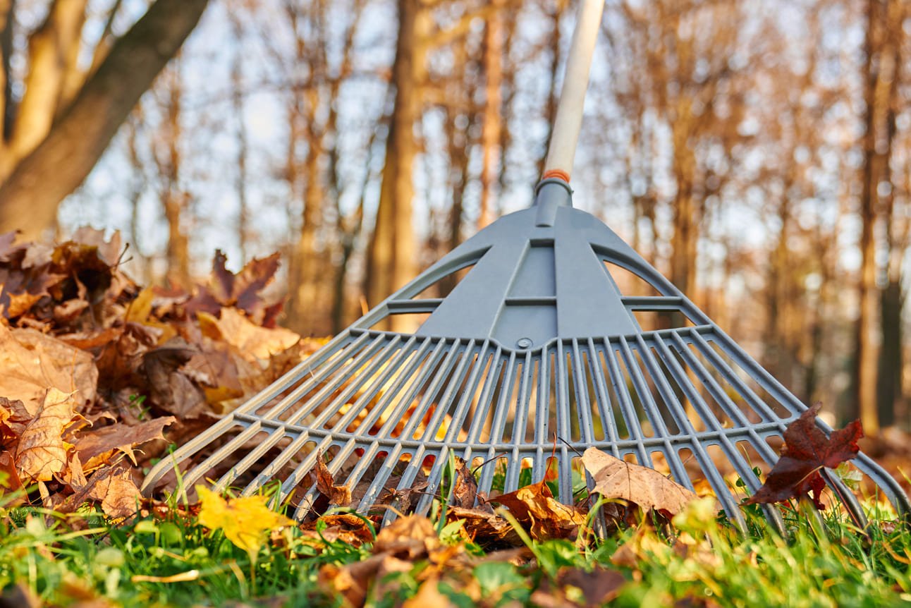 Spring Cleanup Services in Boston, MA