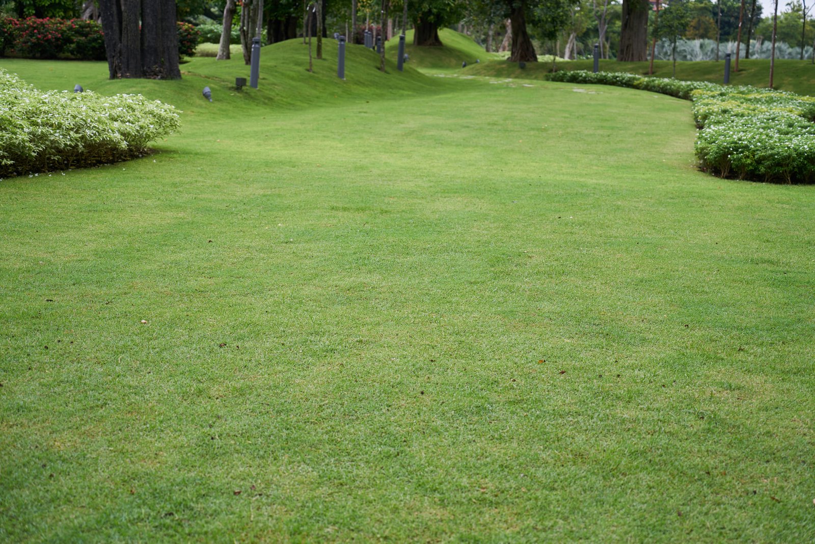 Lawn maintenance