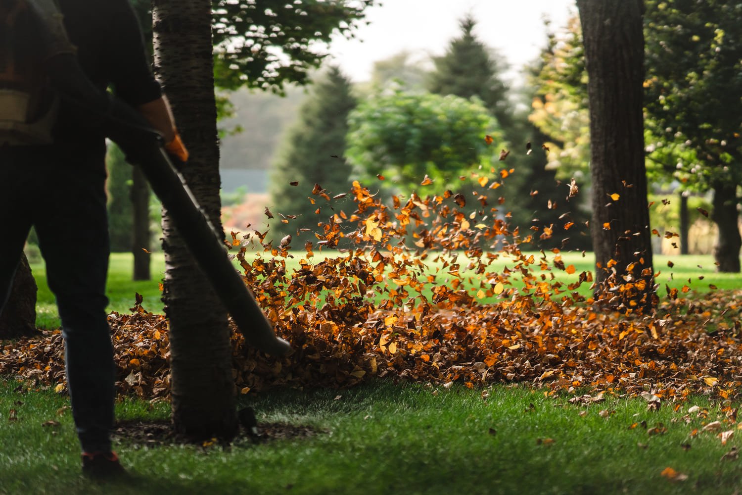 Spring Cleanup Services in Boston, MA