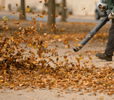 Fall clean up