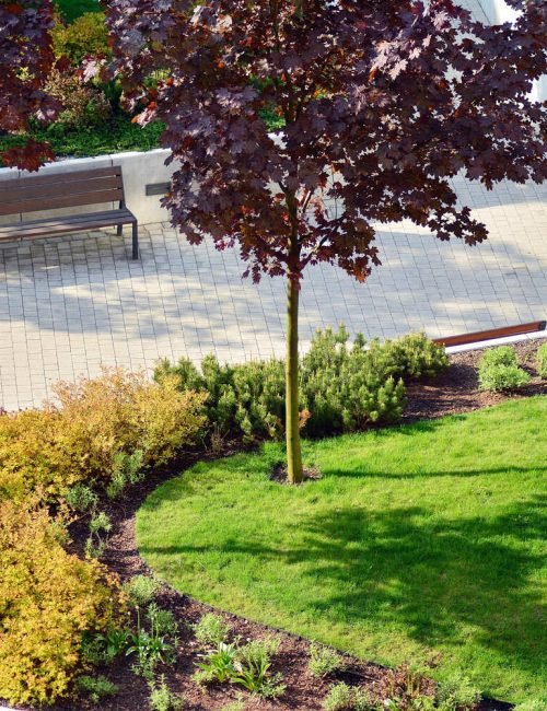 Residential Landiscaping in Boston