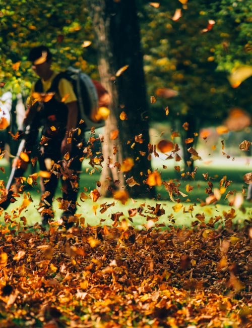 Spring Cleanup Services in Boston, MA