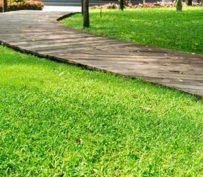 Lawn maintenance