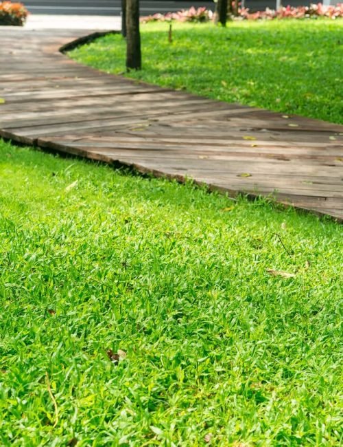 Lawn maintenance