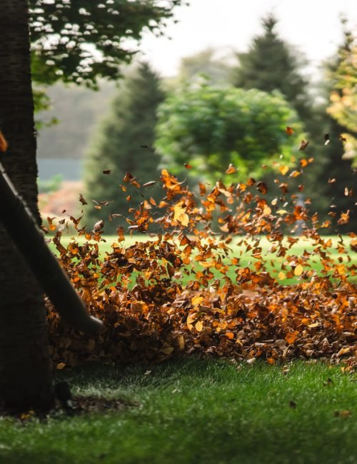 Spring Cleanup Services in Boston, MA